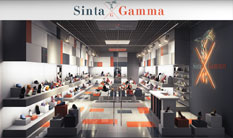 Sinta Gamma